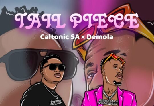 Caltonic SA & Demola - Tail Piece