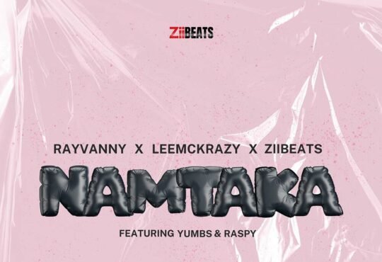 Rayvanny, LeeMcKrazy & ZiiBeats - Namtaka (feat. Raspy & Yumbs)