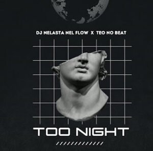 Screenshot_20241122-095746-300x295 Dj Nelasta Nel Flow & Teo No Beat - Too Night Original Mix